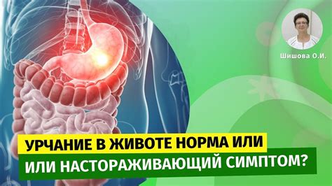 Причины урчания в животе у малыша