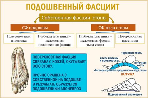 Причины чесоточных ощущений