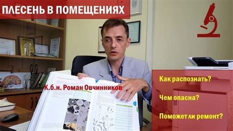 Проблема линьки самоедов в жилых помещениях
