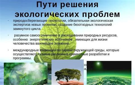 Проблемы, связанные с откусыванием рыбы и возможные способы их решения