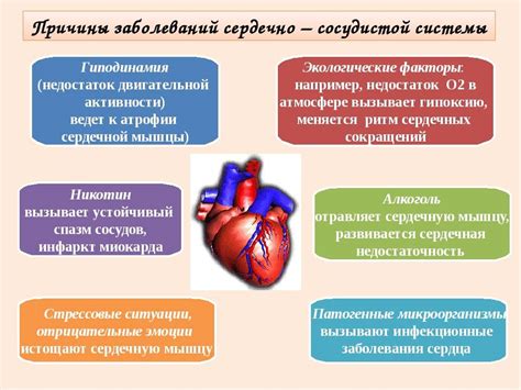 Проблемы, связанные с функционированием сердечно-сосудистой системы