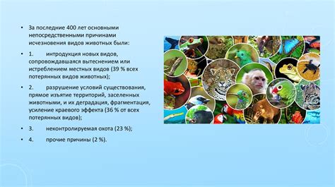 Проблемы и угрозы сохранения биологического разнообразия в присутствии арктических медведей