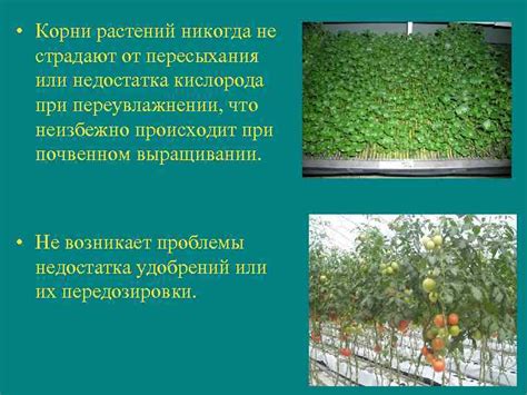 Проблемы недостатка кислорода