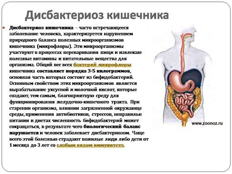 Проблемы пищеварения
