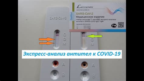 Проведение экспресс-теста
