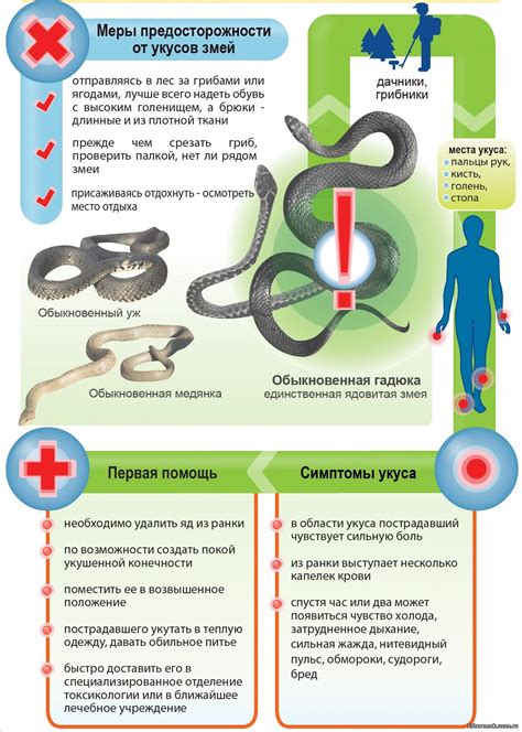Проверенные методы предотвращения укусов