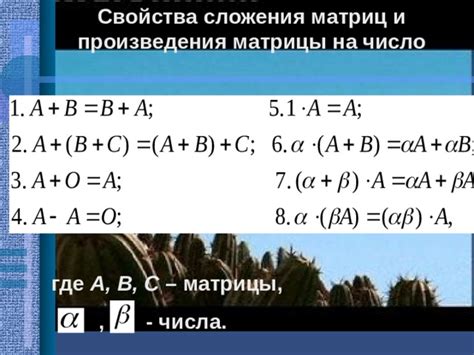 Проверка обратности матриц: роль произведения в анализе