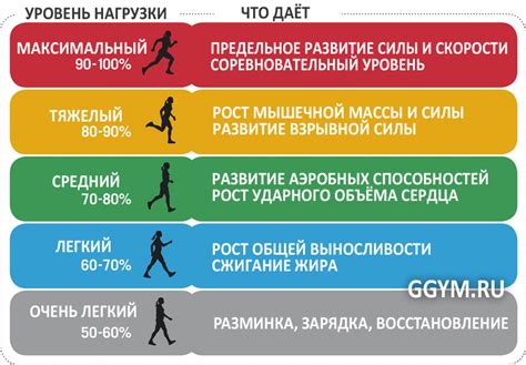 Проверка пульса: контроль нагрузки и оптимальный темп