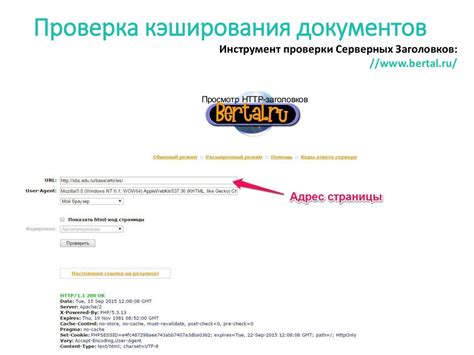 Проверка статуса кэширования и действий для обхода