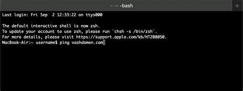 Проверка через приложение Terminal