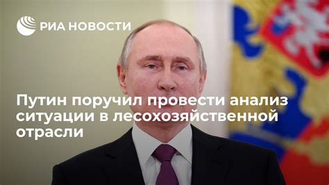 Провести анализ ситуации