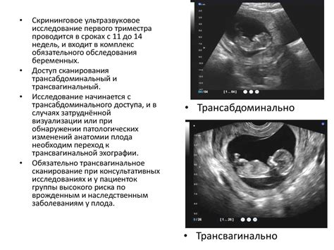 Прогестерон в первом триместре: значение и влияние