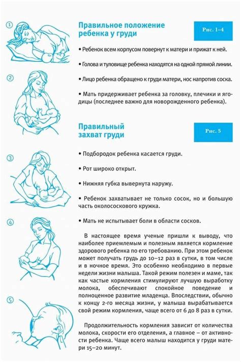Продолжение кормления грудью