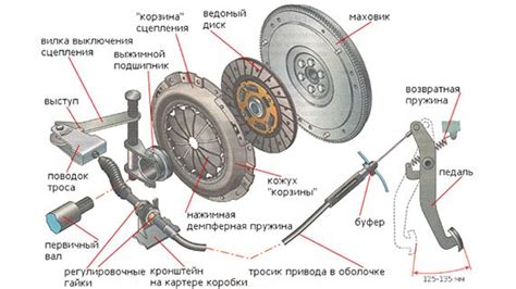 Производительность и сцепление на дороге: что необходимо учитывать