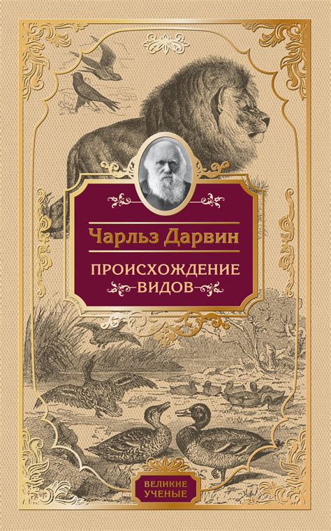 Происхождение викторин