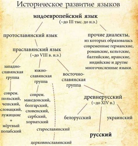 Происхождение и особенности