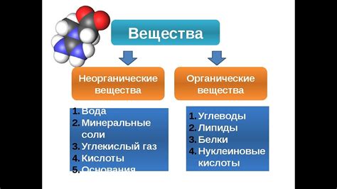 Происхождение и структура жирового вещества барсука