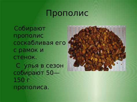Прополис и его значение для улья