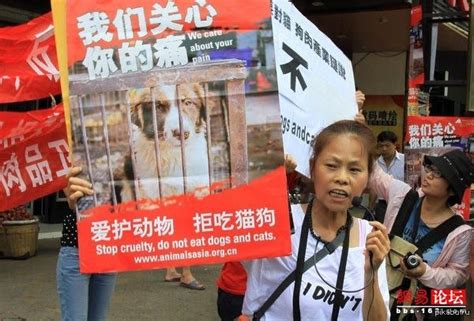 Протесты против использования кожи кошек