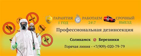 Профессиональная дезинсекция