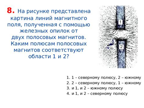 Профессиональная очистка магнитов от опилок