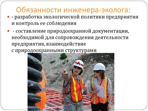 Профессия эколога: основные задачи и обязанности