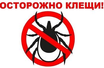 Профилактика клещевых укусов