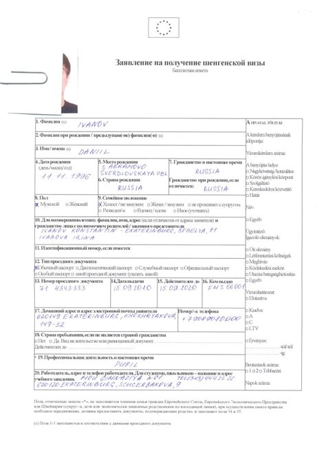 Процедура и сроки рассмотрения заявления на получение шенгенской визы в Белоруссии