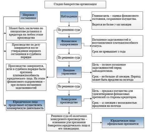 Процедуры и сроки