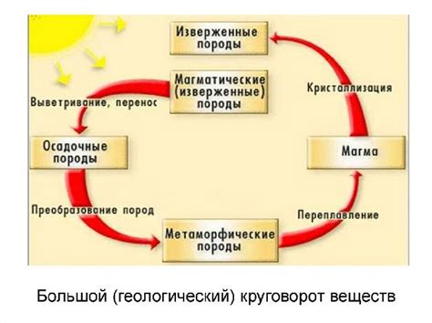 Процессы биологического разложения