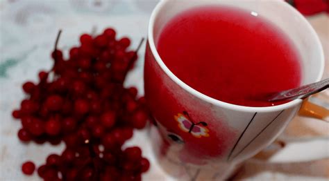 Процесс заваривания калины в чай