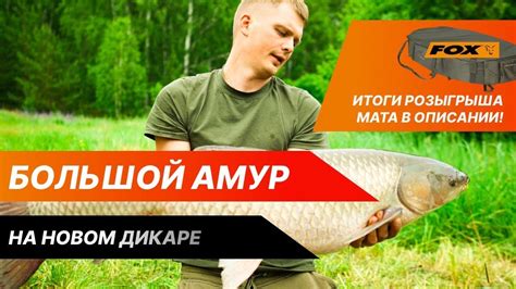 Процесс заглушки для улова крупного амура