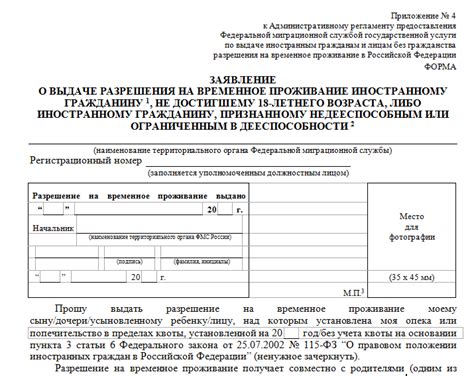 Процесс заполнения анкеты и предоставления необходимых документов