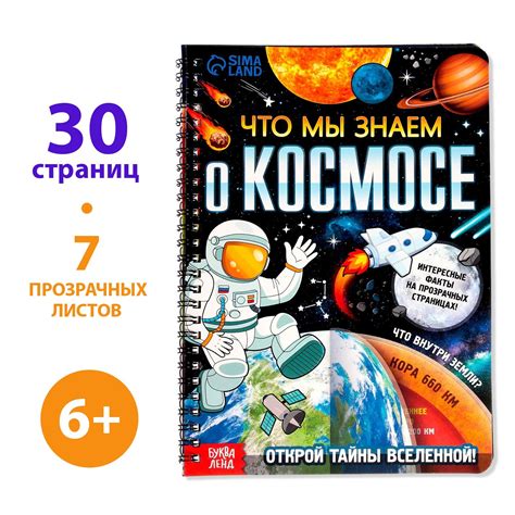 Процесс использования кофеварки Polaris: все, что вам нужно знать