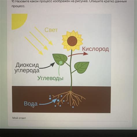 Процесс клеения