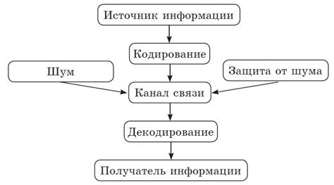 Процесс перевода информации в мозге: как информация передается между клетками