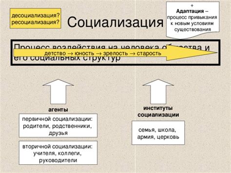 Процесс привыкания к человеческому прикосновению