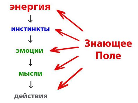 Процесс приспособления и формирование новых связей
