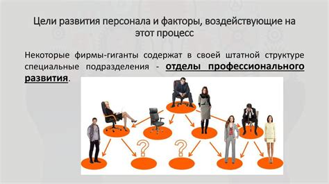 Процесс развития грибов и факторы, воздействующие на него
