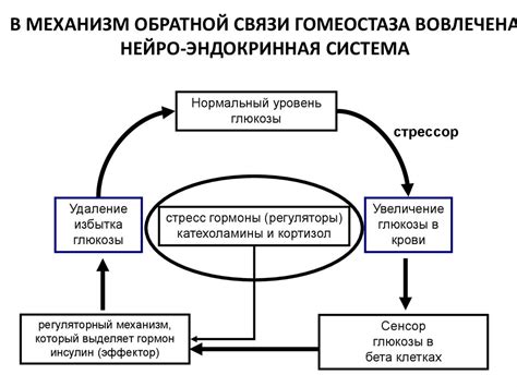 Прямая и обратная психология в предсказаниях