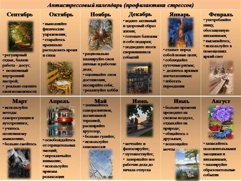 Психологическая устойчивость и управление стрессом