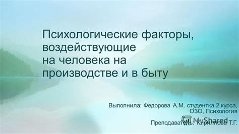 Психологические факторы, воздействующие на поведение собаки в период сна