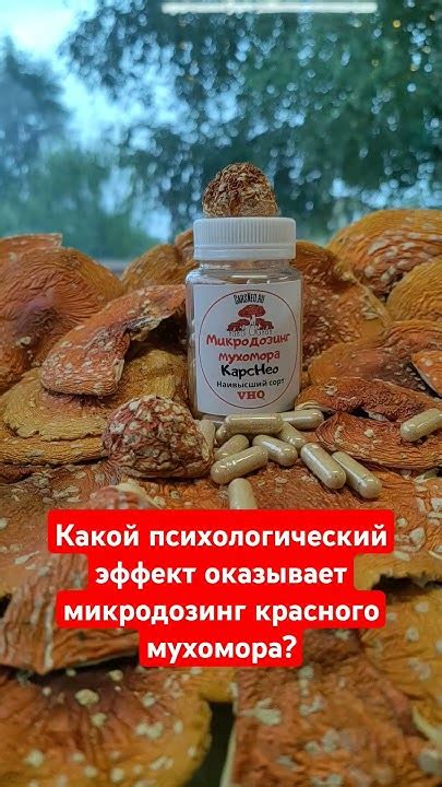 Психологический эффект красного цвета на мусульман