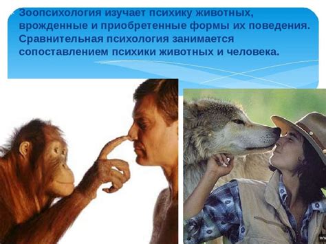 Психология животных