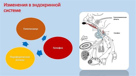 Пути изменения ситуации и предотвращения последствий