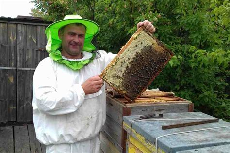 Пыльца пчеловодов