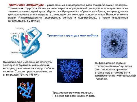 Работа катализатора на молекулярном уровне