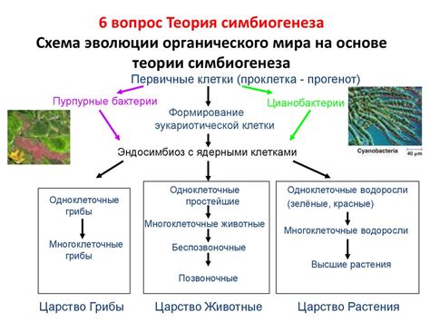 Разбор эволюции в мире Пиксельмон: исследование процесса развития и методы его восстановления