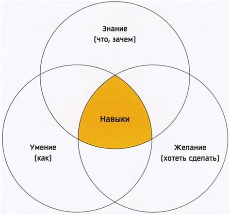 Развитие навыков и умений боксера в Симс 4: тренировки и бонусы