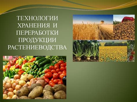 Развитие сельского хозяйства и переработка сельскохозяйственной продукции